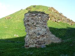 Deganwy Castle